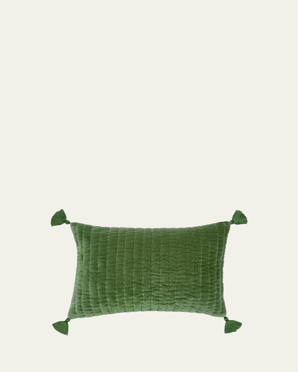 Velvet Kidney Pillow